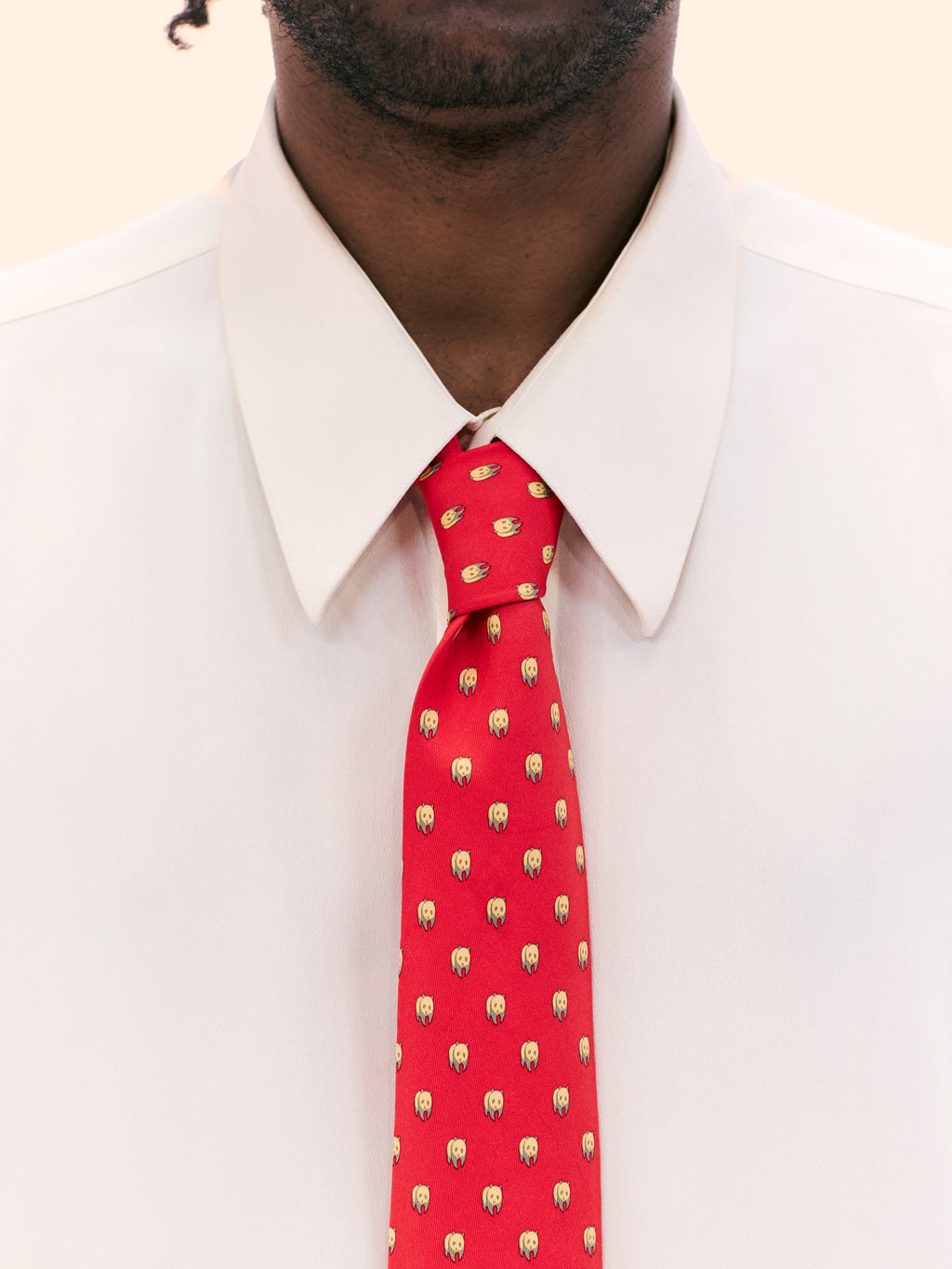 HERMÈS WWF PANDA TIE