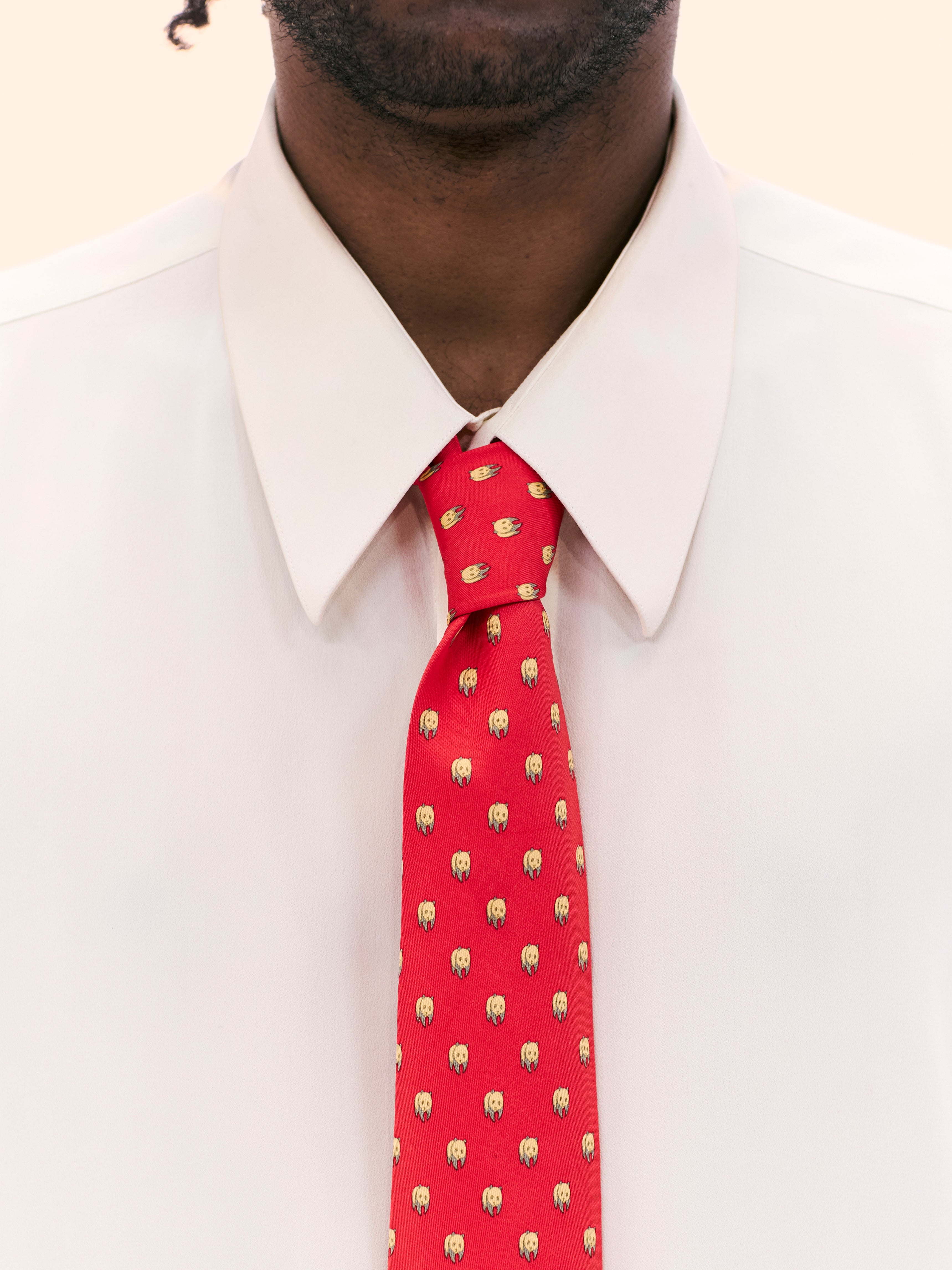 HERMÈS WWF PANDA TIE