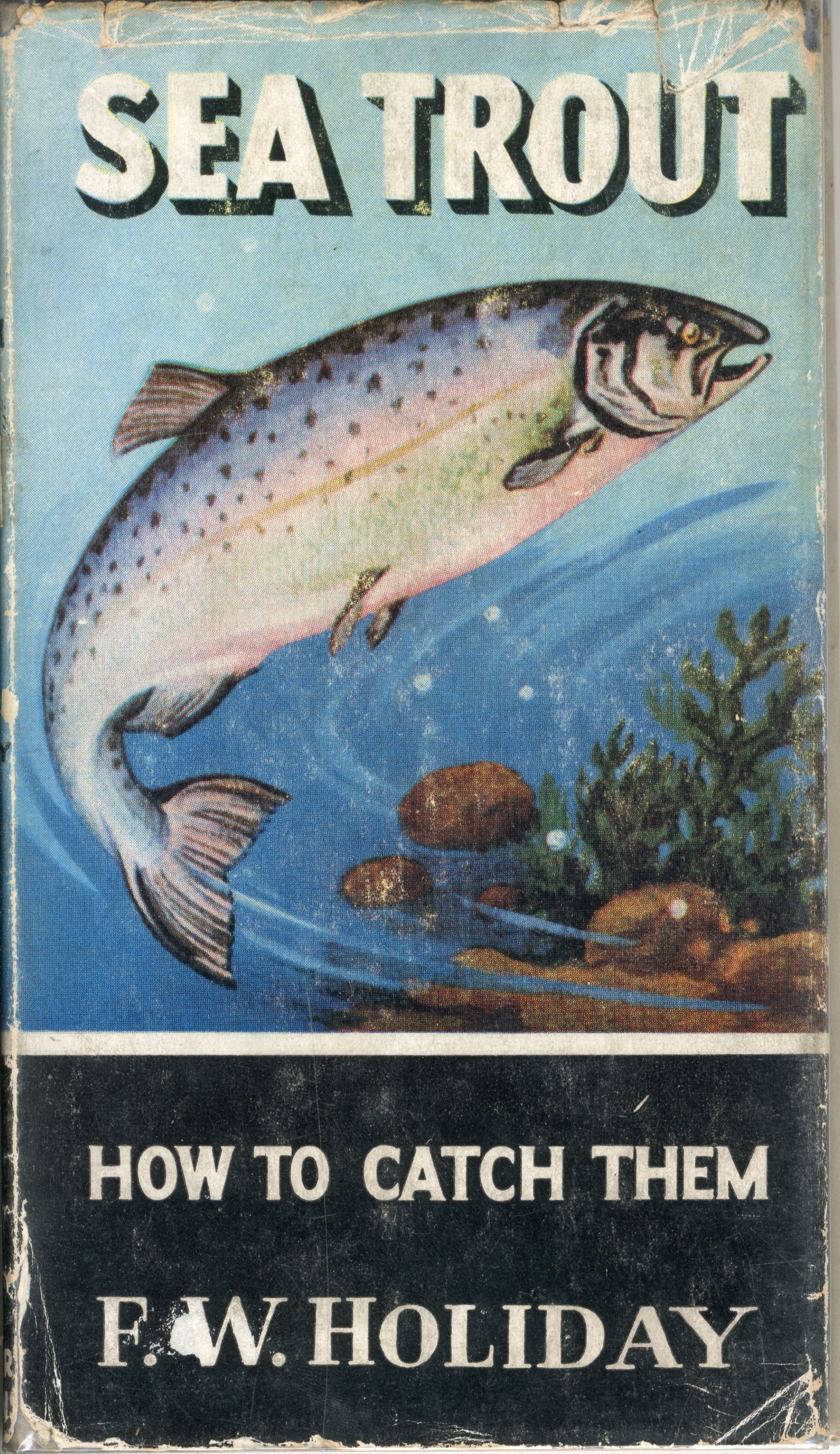 SEA TROUT - HOW TO CATCH THEM BOOK