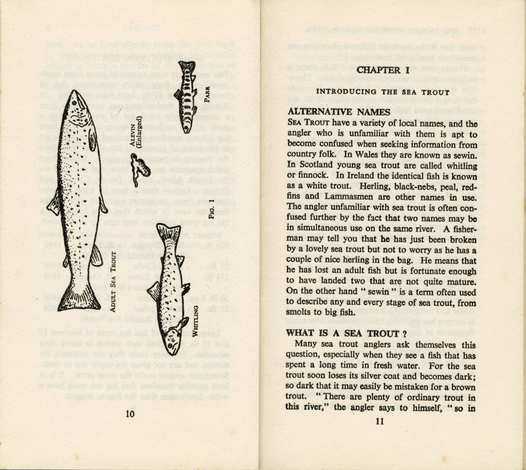 SEA TROUT - HOW TO CATCH THEM BOOK