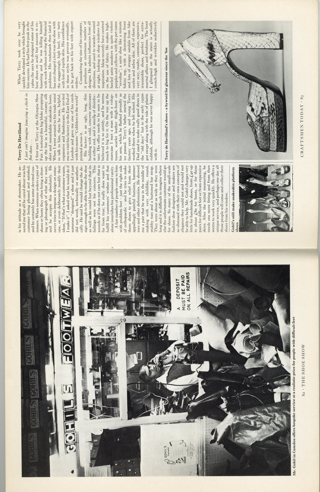 THE SHOE SHOW BOOK