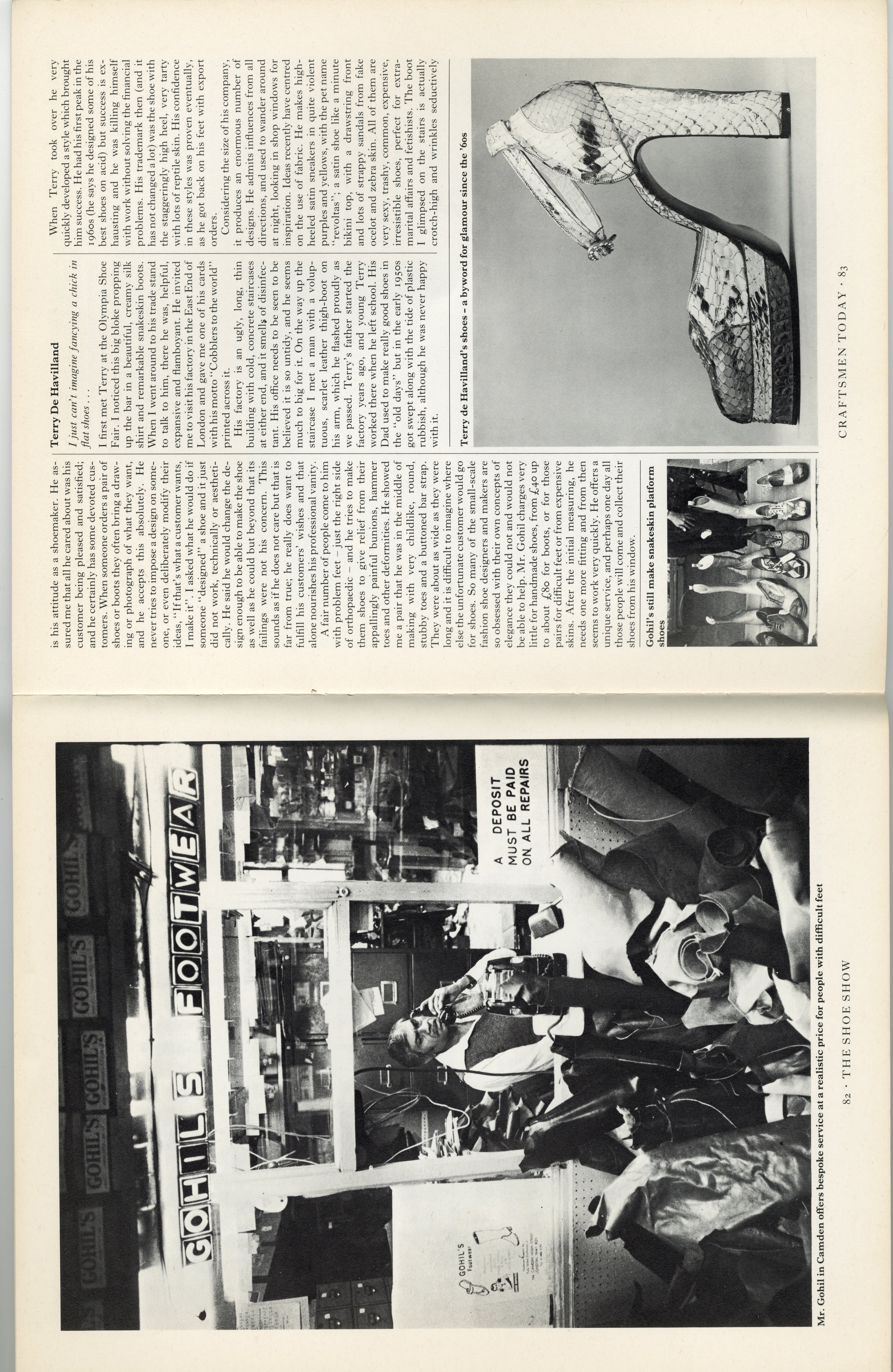 THE SHOE SHOW BOOK